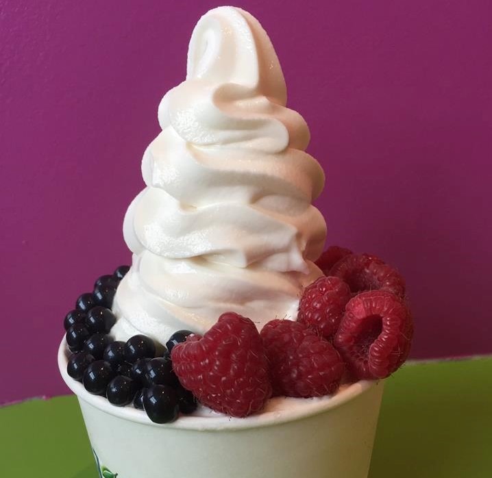 Ultimate Vanilla Frozen Yogurt Image