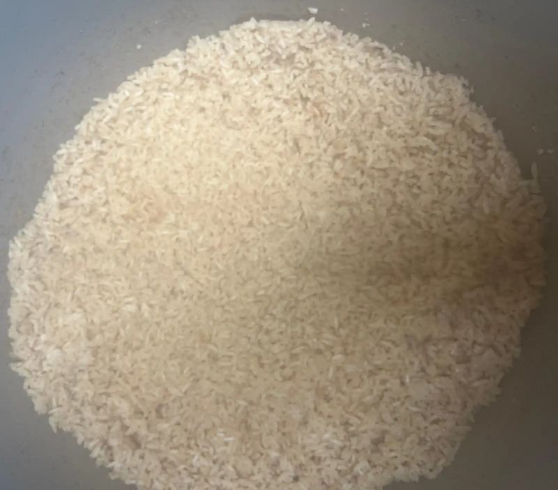 R1. Plain Fried Rice 净炒饭