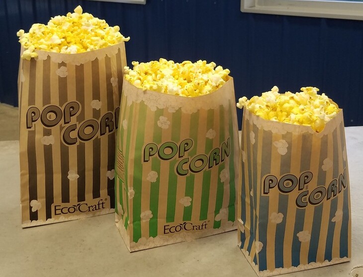 Popcorn Image