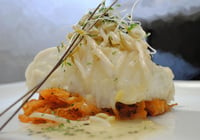 Halibut