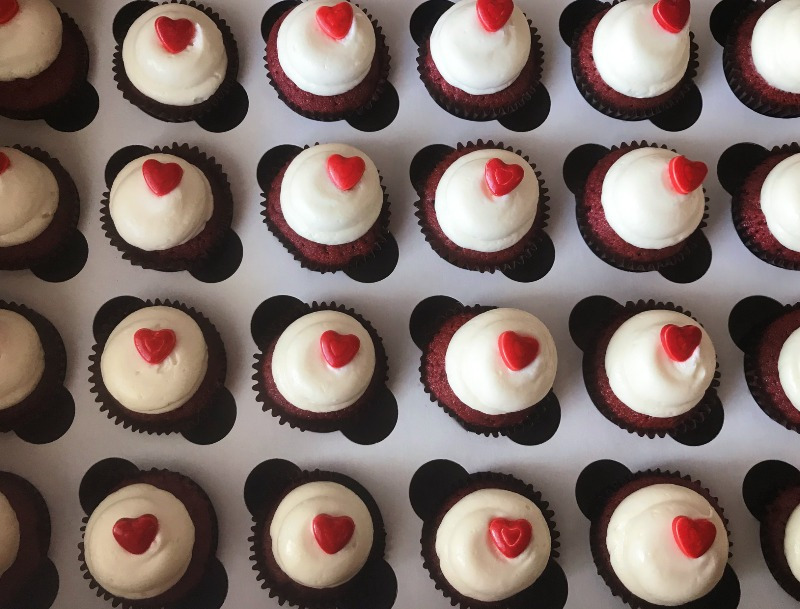 Regular Minis - Dozen