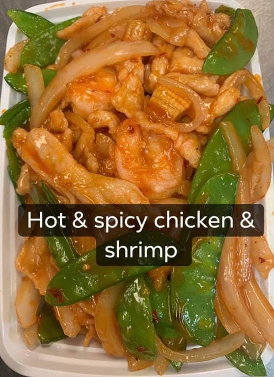 S15.干烧两样 Hot & Spicy Chicken & Shrimp
