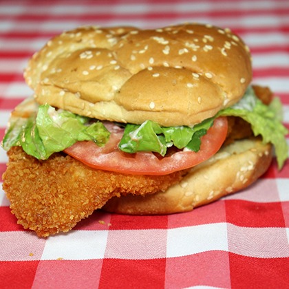 Single Crispy Chicken Breast Burger Image
