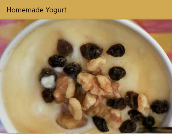 酸奶 Homemade Yogurt