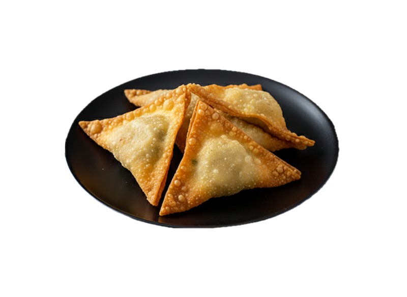 Fried Wontons (4)