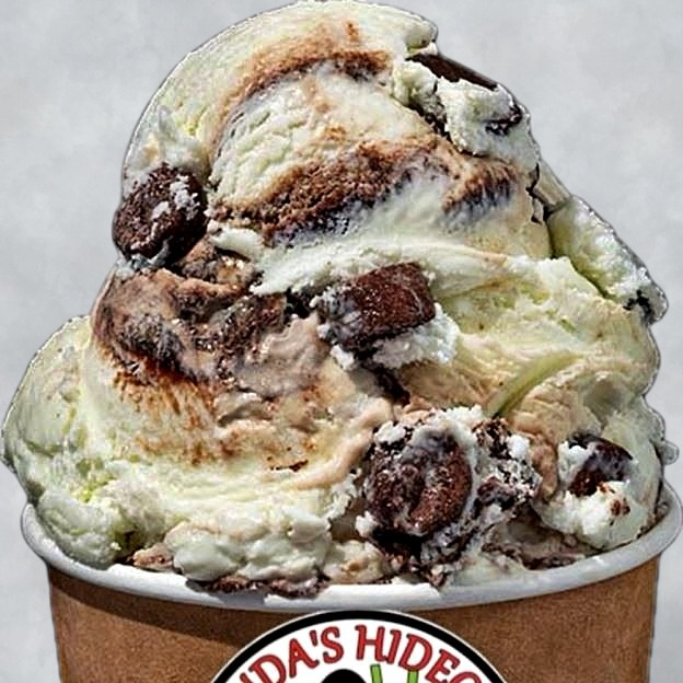Double Fudge Mint Chocolate Brownie (1 scoop)
