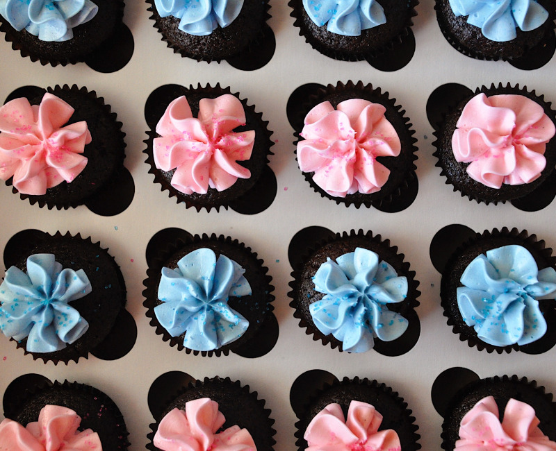 Regular Minis - 2 Dozen