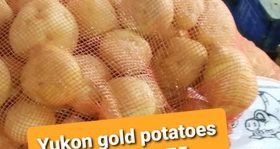Yukon Gold potatoes 5LB