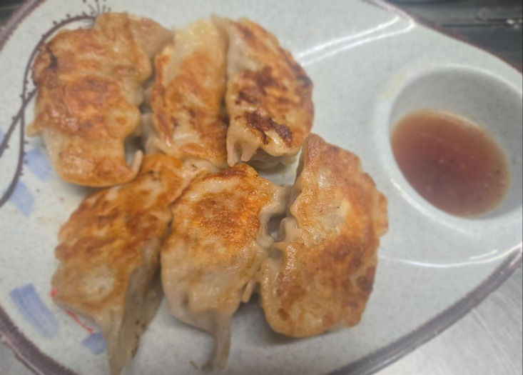 Pan Fried Dumplings (6)