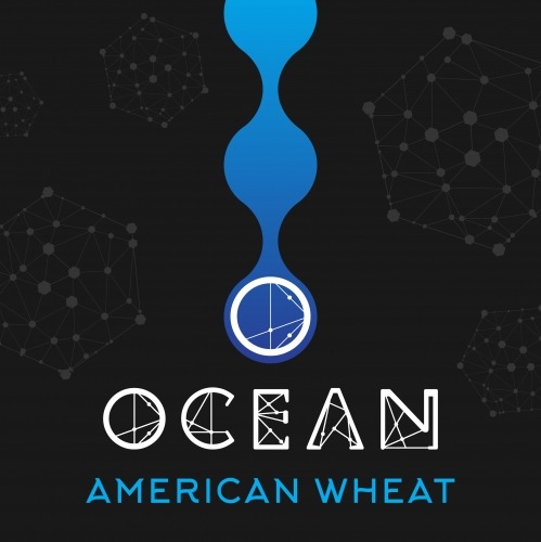 American Wheat Ale