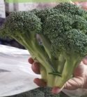 Broccoli Crown 1 each