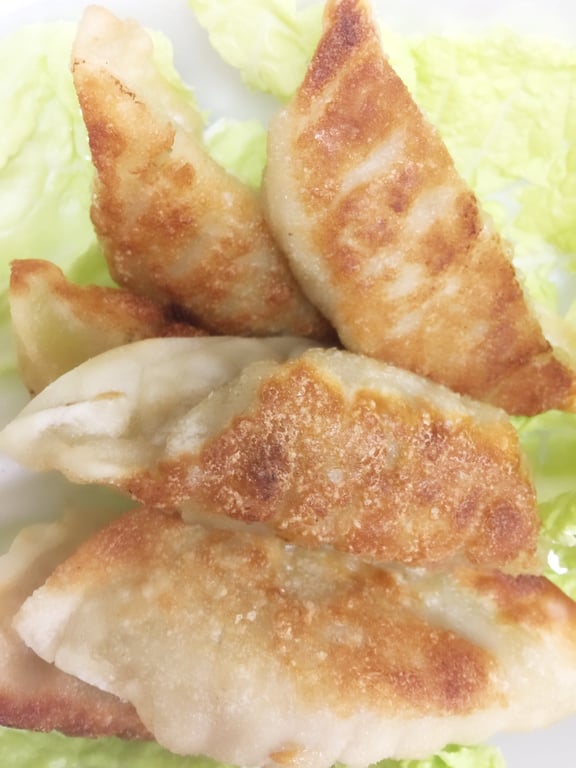 9. Fried Meat Dumpling (8)