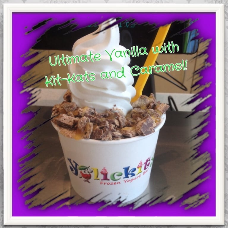 NSA Vanilla Frozen Yogurt Image