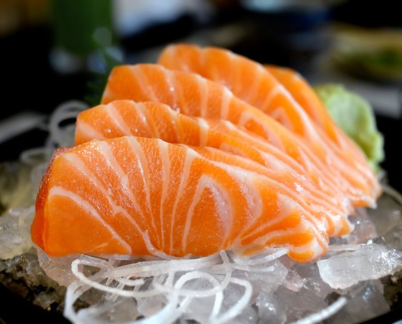 Salmon
