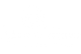 Yummy House - Plano logo