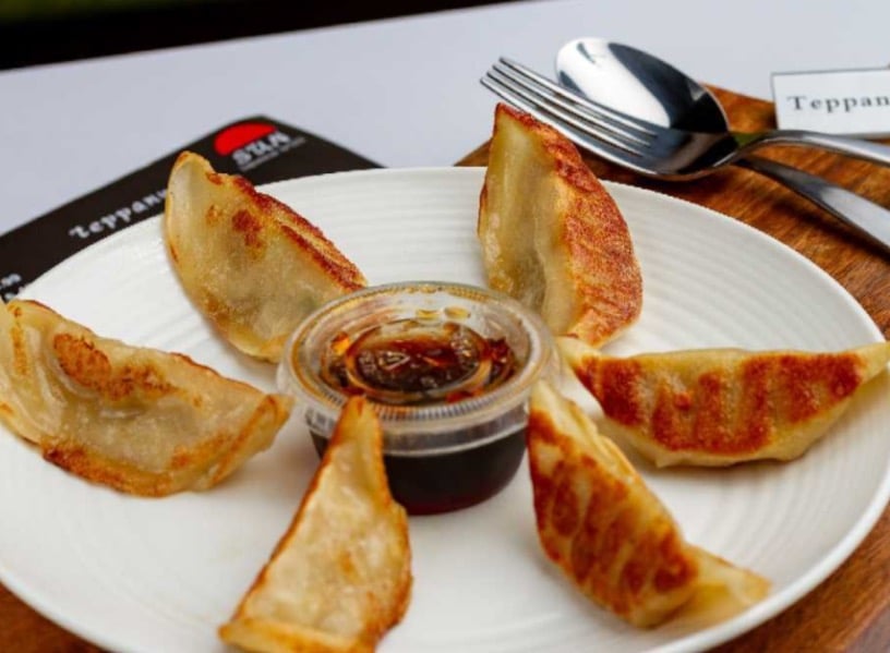 Gyoza (6)