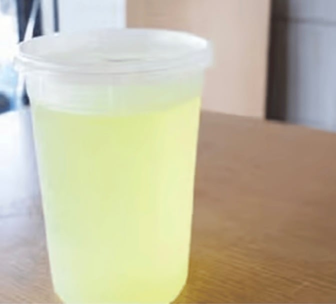 Homemade Lemonade