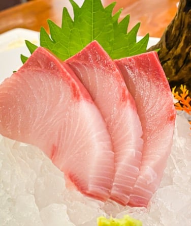 Yellowtail