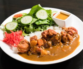 Kara Age Curry Platter