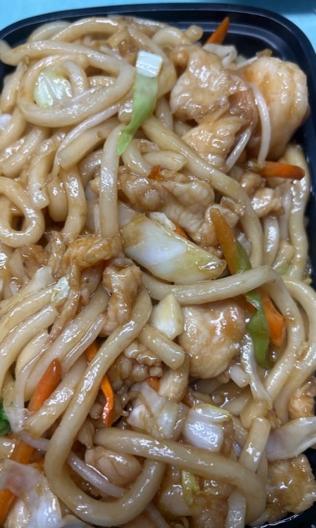 Combo Udon