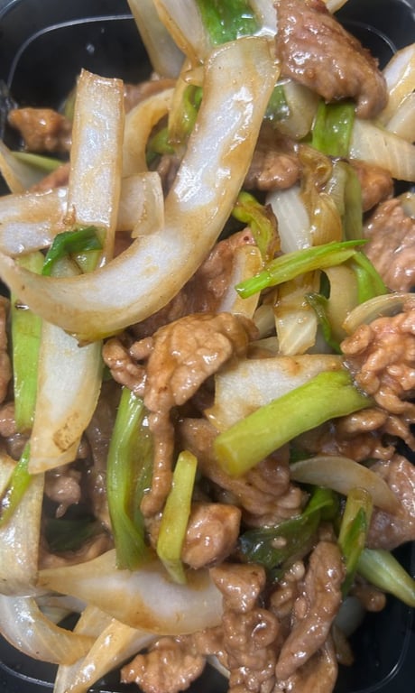 Beef with Scallions (Re)