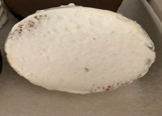 Dulce de Leche Alfajor