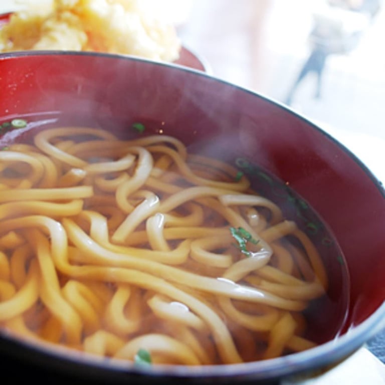 Steamed Udon Noodle