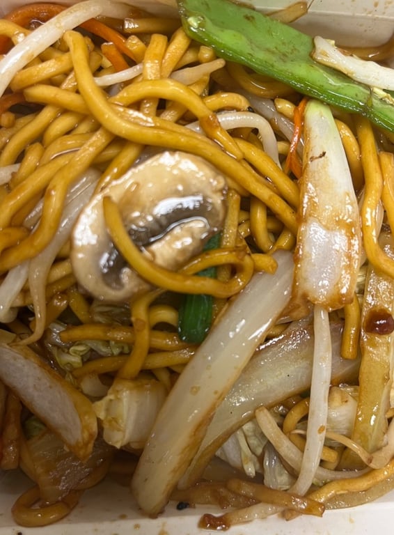95. Vegetable Lo Mein