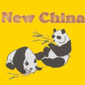 New China - Saline logo