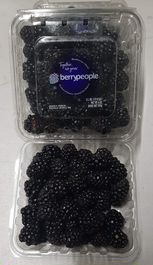 Blackberries 6oz Pack