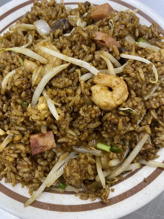 Special Fried Rice