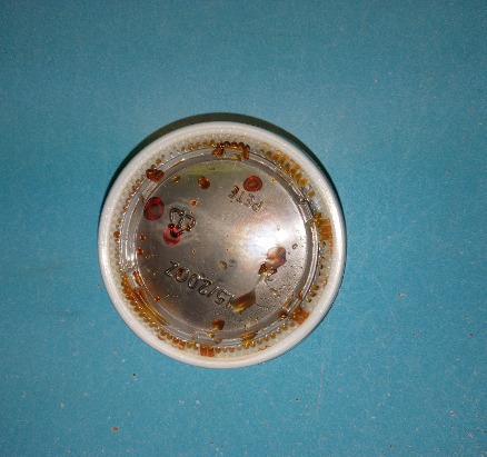 Dumpling Sauce