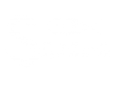 Sakana - Hicksville logo