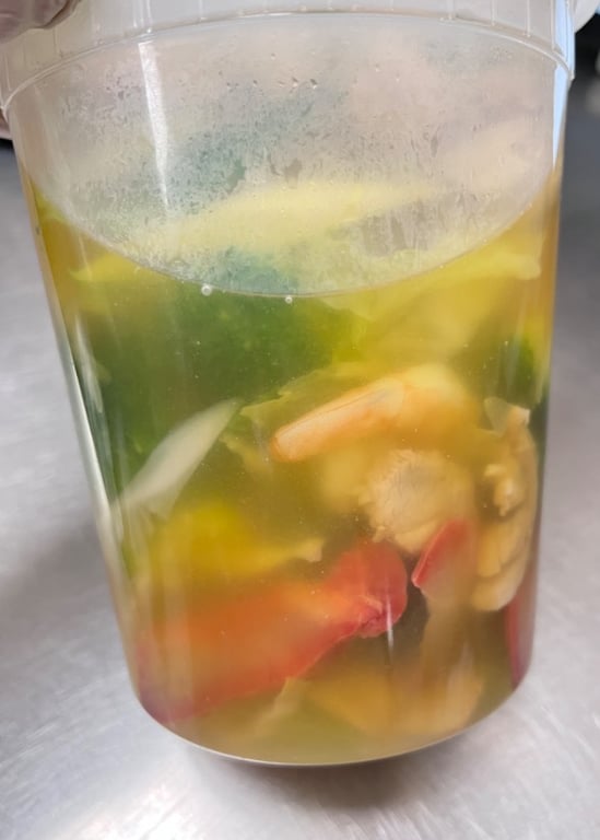 House Special Soup