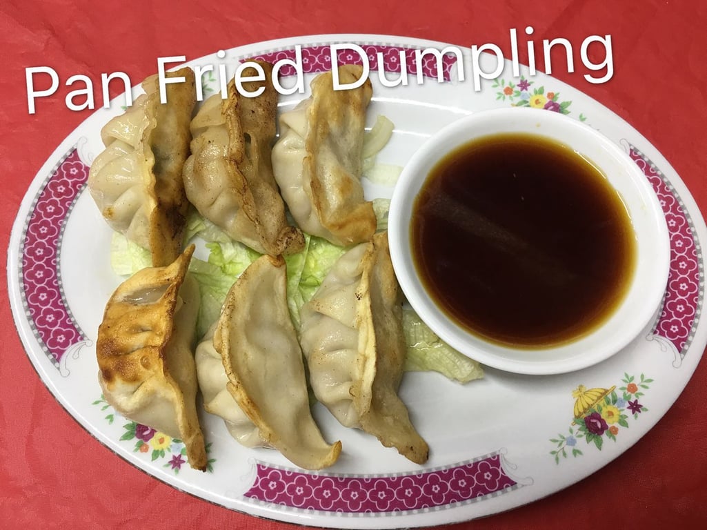 Pan Fried Dumplings (6)