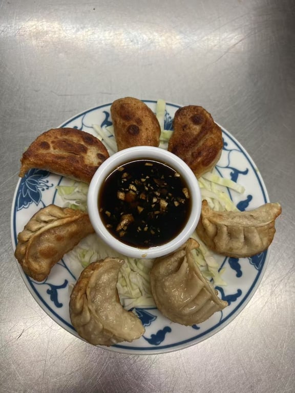 Fried Dumplings (7)