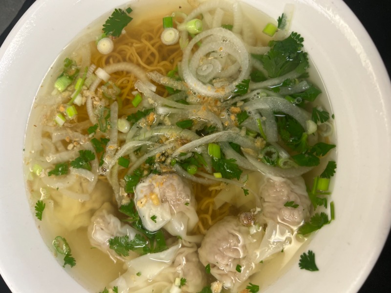 Egg Noodle Wonton Soup