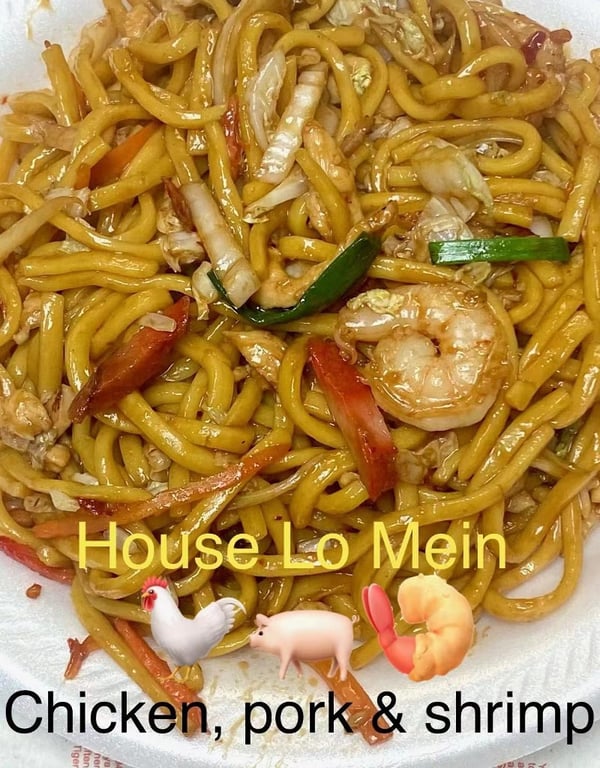 45. House Special Lo Mein Image