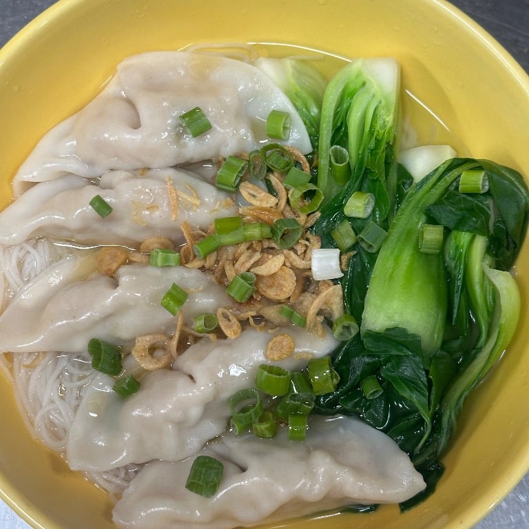 Chicken Dumpling Noodles Soup