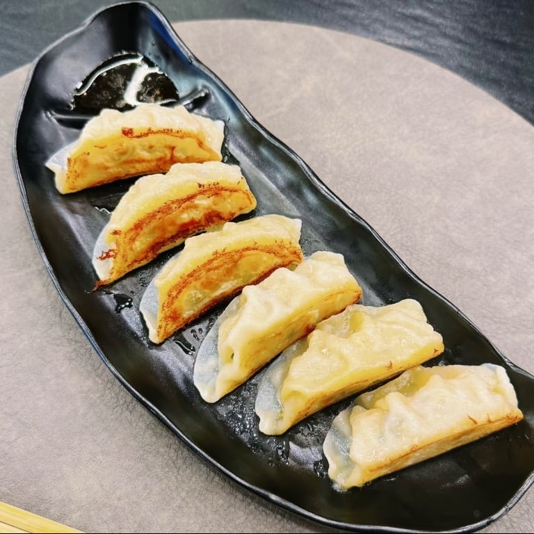 Fried Gyoza (6)