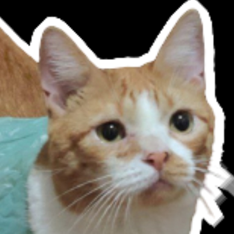 Crispy Vege Spring Roll