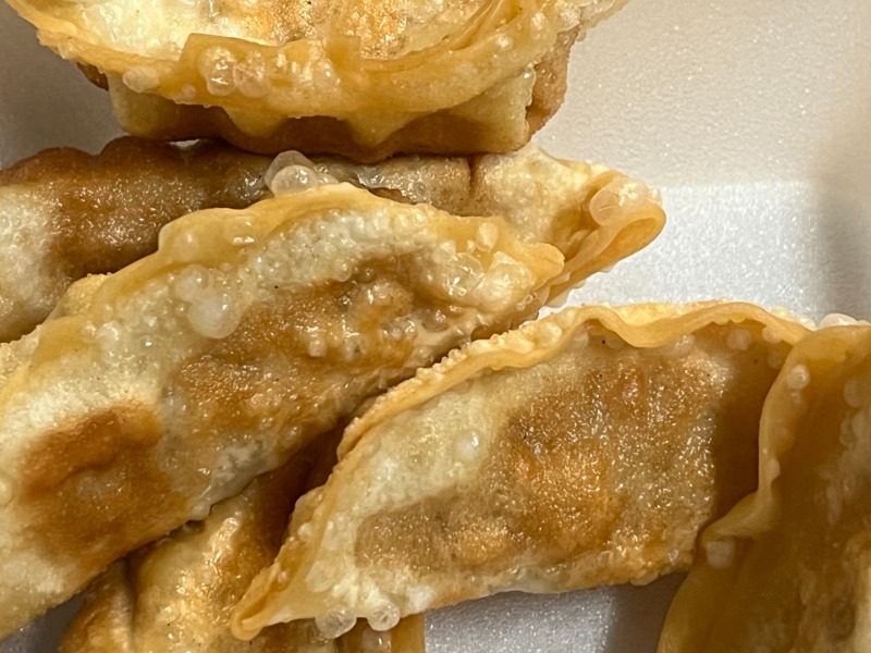 Chicken Pot Stick (6 pcs)