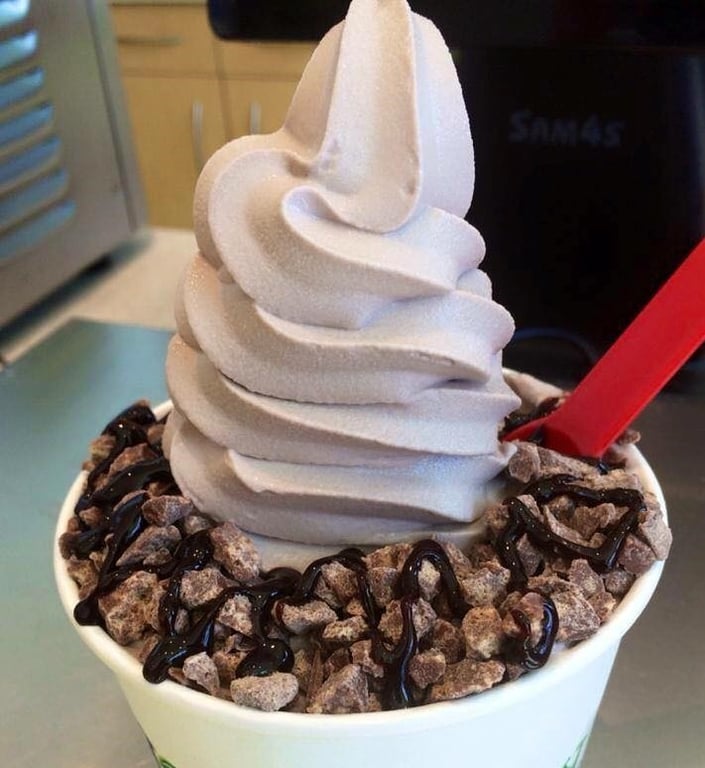 Cookies & Cream Frozen Yogurt Image