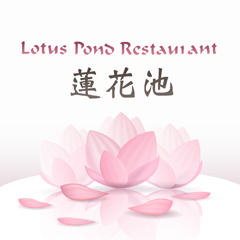 Lotus Pond - Warren