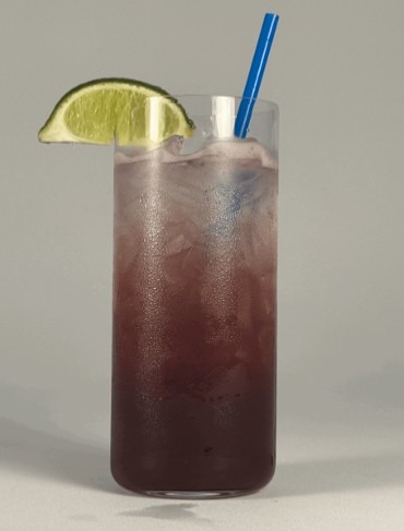 Blueberry Breeze Fizz