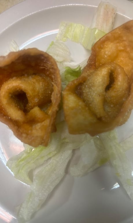 Fried Pork Wontons (10)