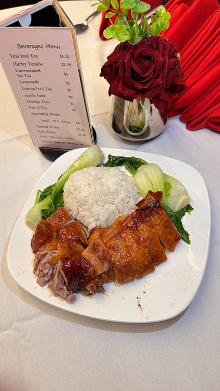 Roast Duck Over Rice