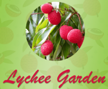 Lychee Garden - Hallandale Beach logo