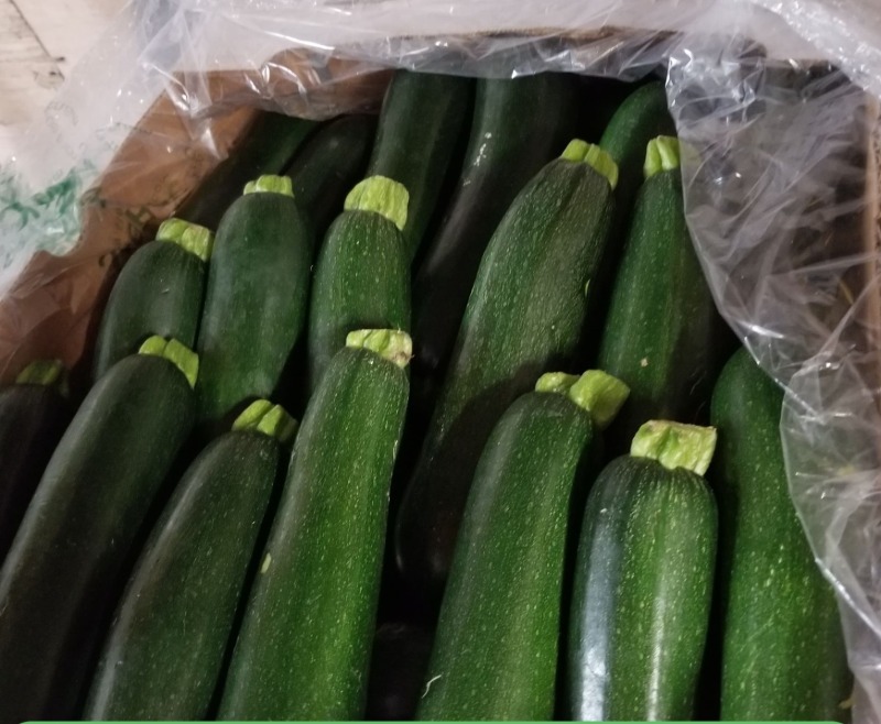 Zucchini 3 Each