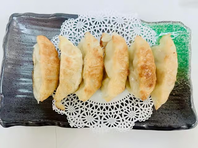 Pan Fried Vegetable Dumpling 菜锅贴